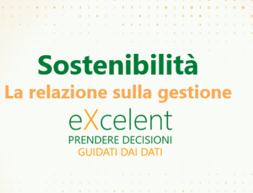 La rendicontazione di sostenibilità  nella relazione sulla gestione del bilancio